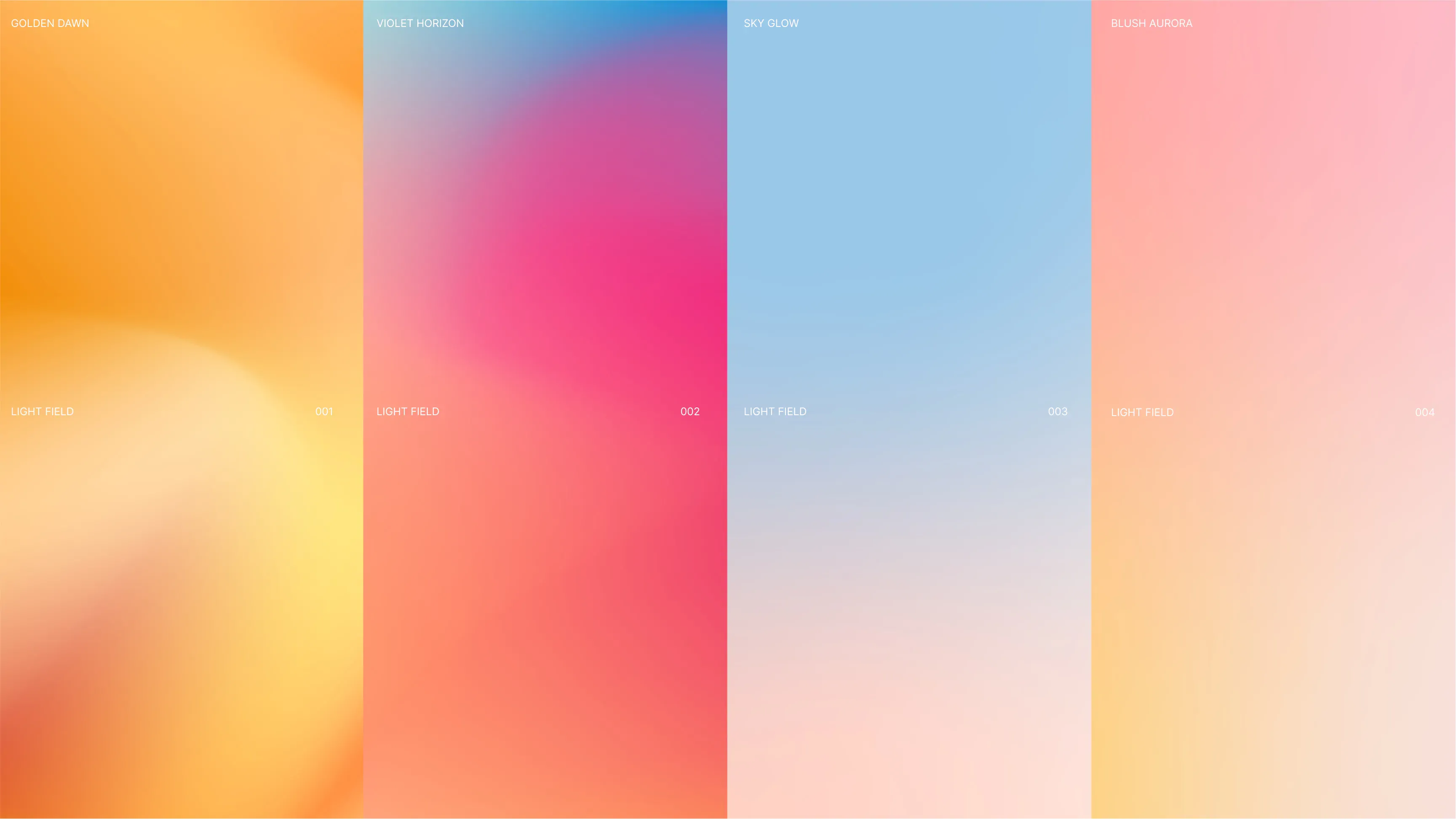 Color pallete selected for the brand