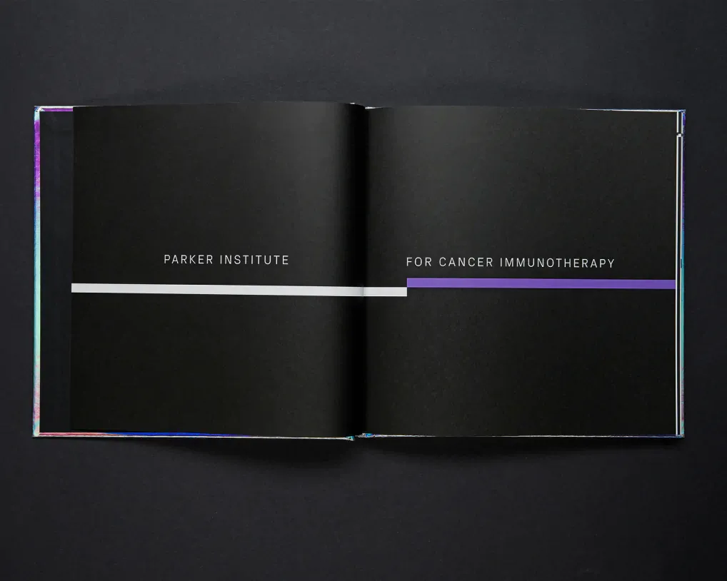 Layout design of book spread within the donor book