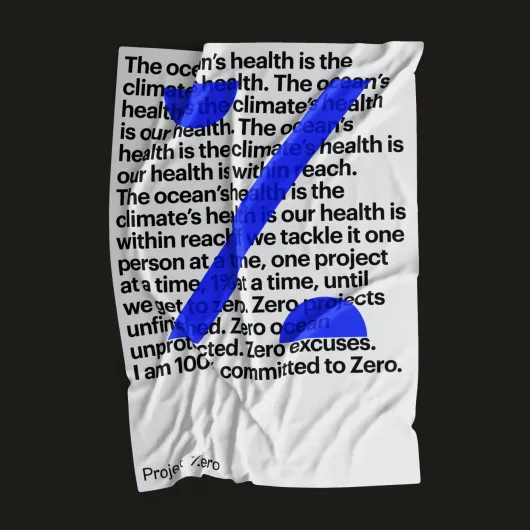 Poster of a big Z from the logo of Project Zero